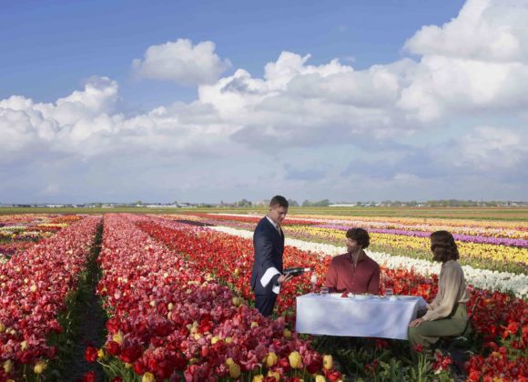 ÐÐ¸ÐºÐ½Ð¸Ðº Ð² Ð¿Ð¾Ð»Ðµ-min